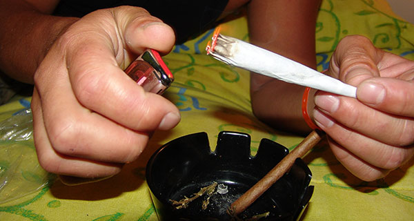 Big tax revenue from legalized cannabis sales