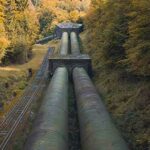 pipeline forest