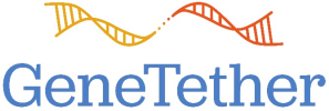 GeneTether Therapeutics Inc. Update – From the Desk of the CEO
