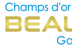 La Geophysique de Champs d’Or en Beauce Confirme une Signature de 8km de la Structure Mineralisee d’Antiforme de Type Saddle Reef