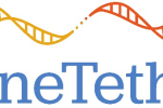 GeneTether Therapeutics Inc. Announces Third Quarter 2024 Financial Results