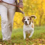 Tired of dog poop in public spaces? You’re not alone